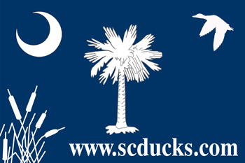 SCDUCKS.COM Forums
